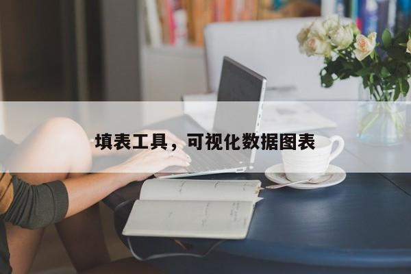 填表工具，可视化数据图表