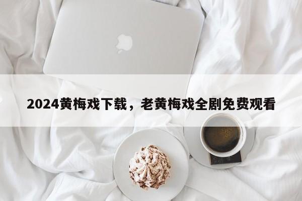 2024黄梅戏下载，老黄梅戏全剧免费观看