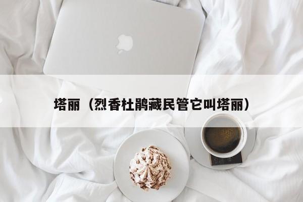塔丽（烈香杜鹃藏民管它叫塔丽）