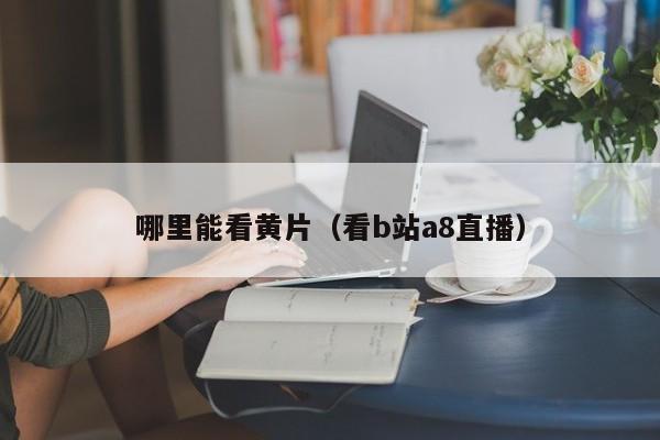 哪里能看黄片（看b站a8直播）