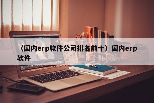 （国内erp软件公司排名前十）国内erp软件