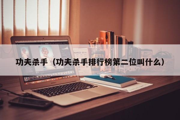 功夫杀手（功夫杀手排行榜第二位叫什么）