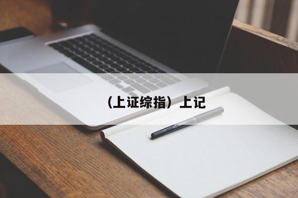 （上证综指）上记