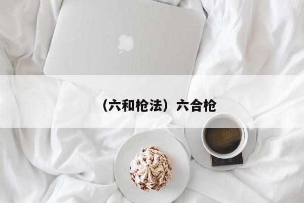 （六和枪法）六合枪