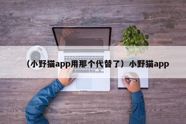（小野猫app用那个代替了）小野猫app