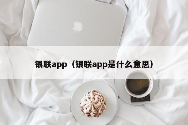 银联app（银联app是什么意思）