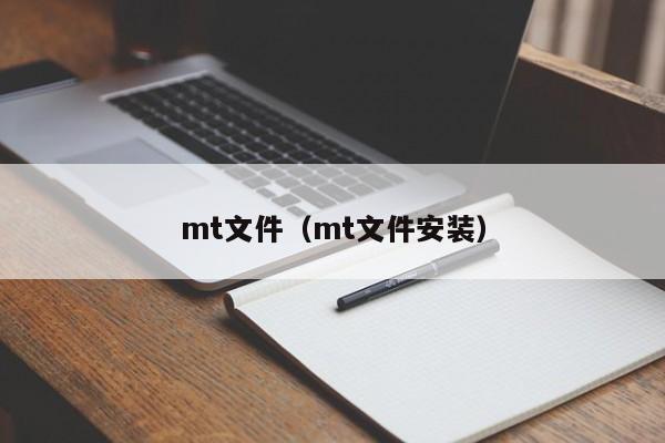 mt文件（mt文件安装）