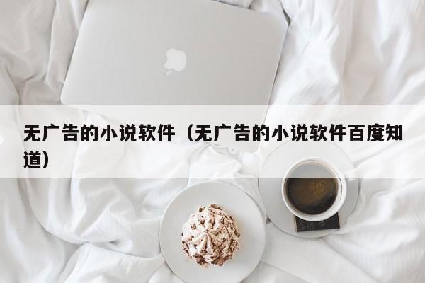 无广告的小说软件（无广告的小说软件百度知道）