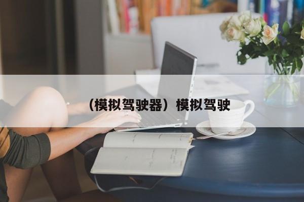 （模拟驾驶器）模拟驾驶
