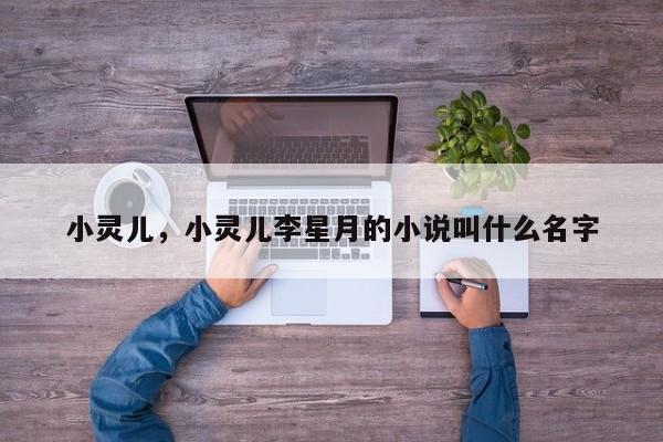 小灵儿，小灵儿李星月的小说叫什么名字