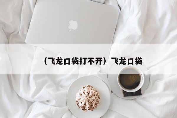 （飞龙口袋打不开）飞龙口袋