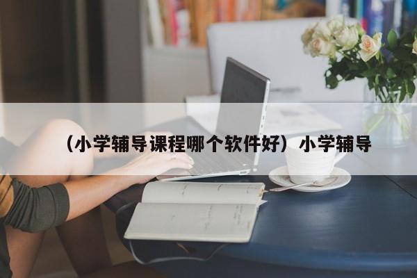 （小学辅导课程哪个软件好）小学辅导