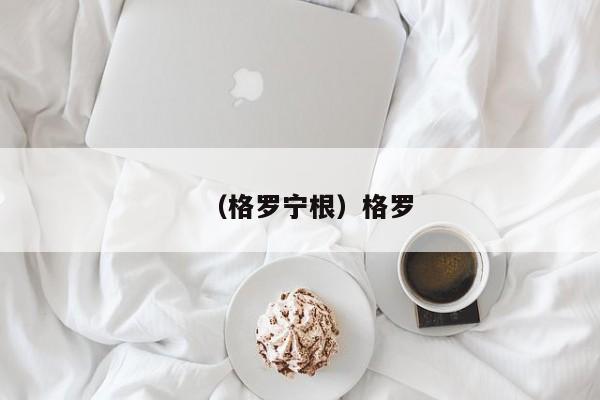 （格罗宁根）格罗