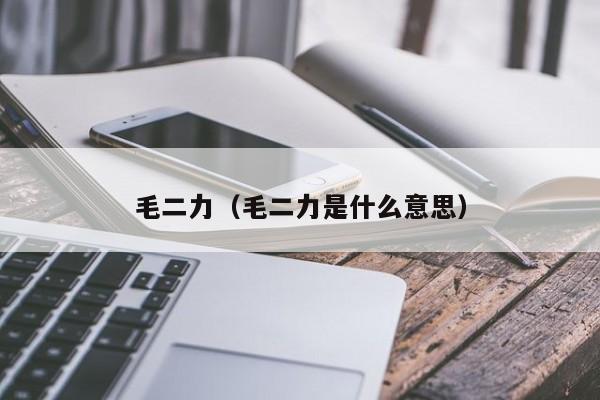 毛二力（毛二力是什么意思）
