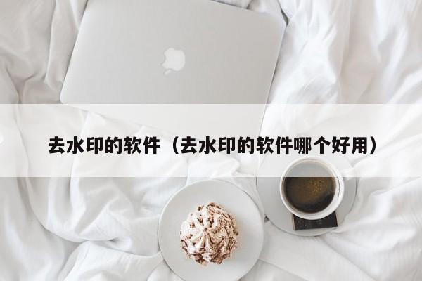 去水印的软件（去水印的软件哪个好用）