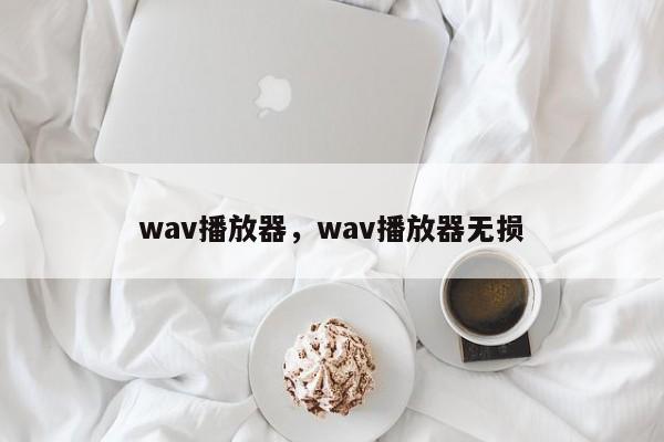 wav播放器，wav播放器无损