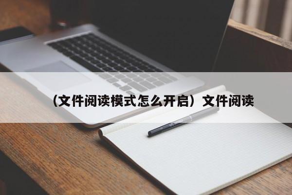 （文件阅读模式怎么开启）文件阅读
