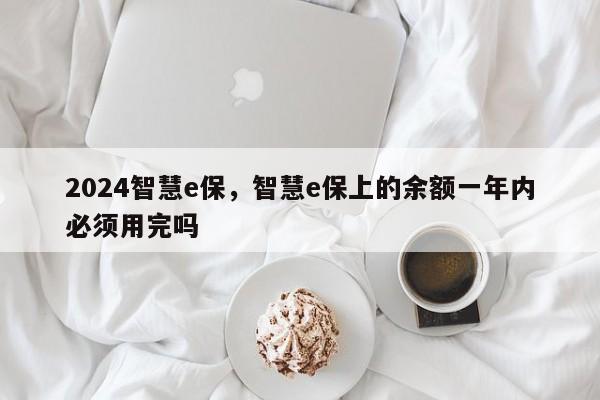 2024智慧e保，智慧e保上的余额一年内必须用完吗