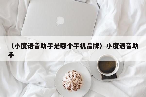 （小度语音助手是哪个手机品牌）小度语音助手