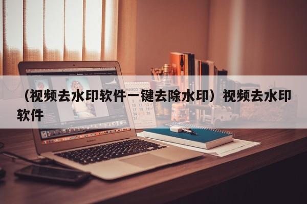 （视频去水印软件一键去除水印）视频去水印软件