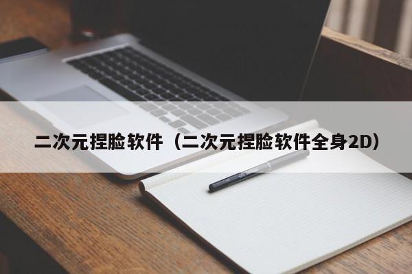 二次元捏脸软件（二次元捏脸软件全身2D）