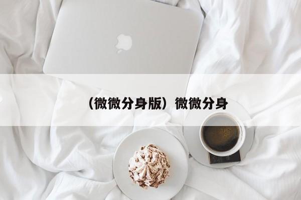 （微微分身版）微微分身