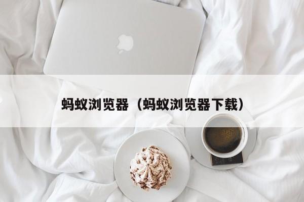 蚂蚁浏览器（蚂蚁浏览器下载）